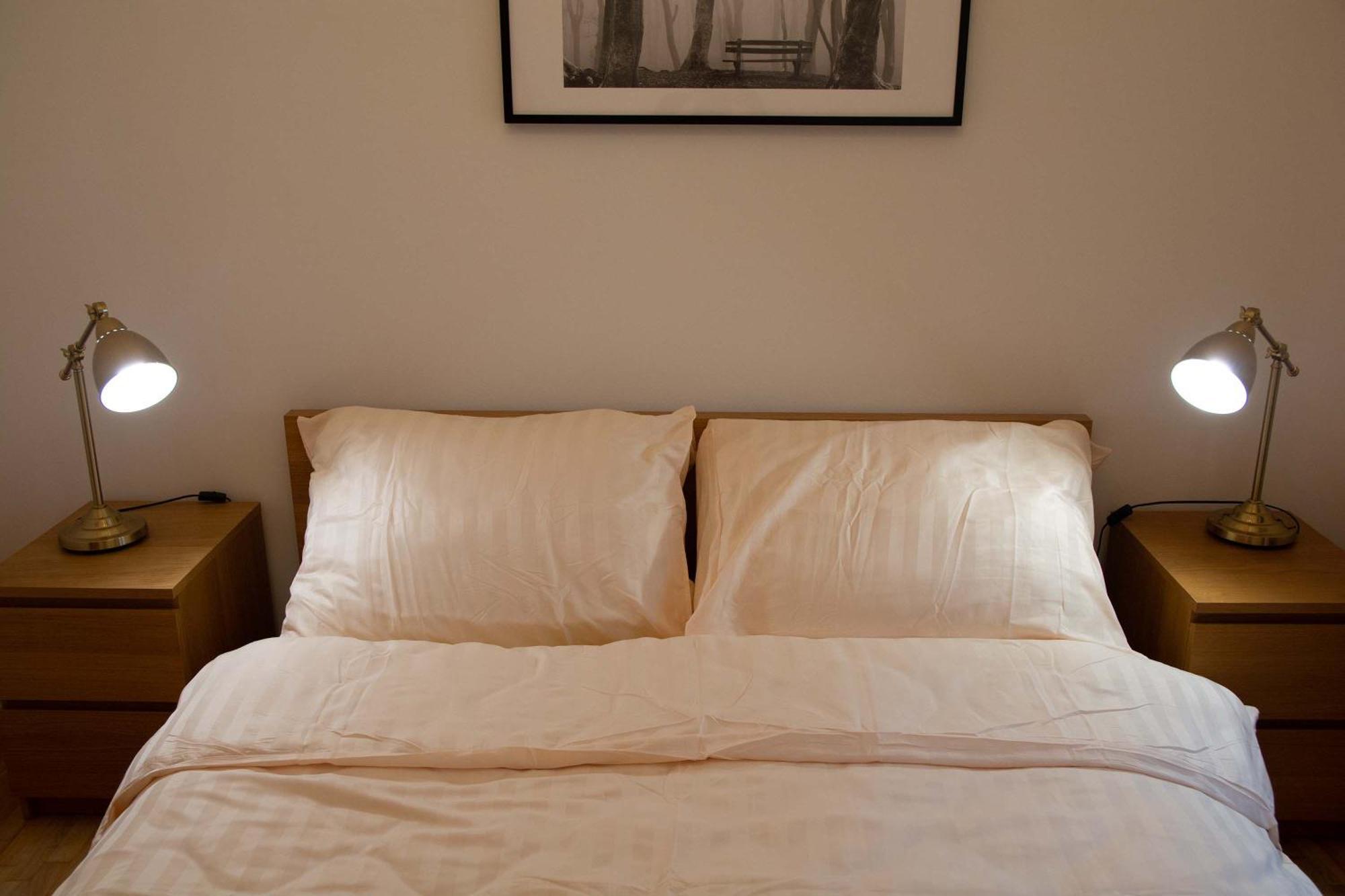 City Centre Apartment With Parking プラハ エクステリア 写真
